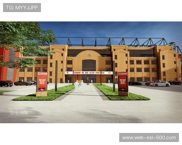 老林务所畔球场扩建计划公布，站席文化保留成争议焦点